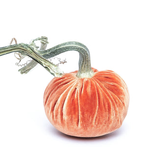 Salmon Silk Velvet Pumpkin