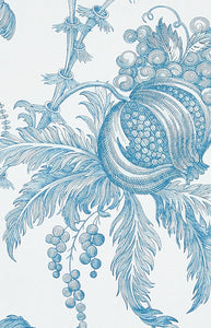 San Cristobal Toile Wallpaper in Peacock