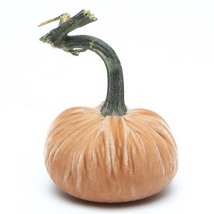 Sandstone Silk Velvet Pumpkin