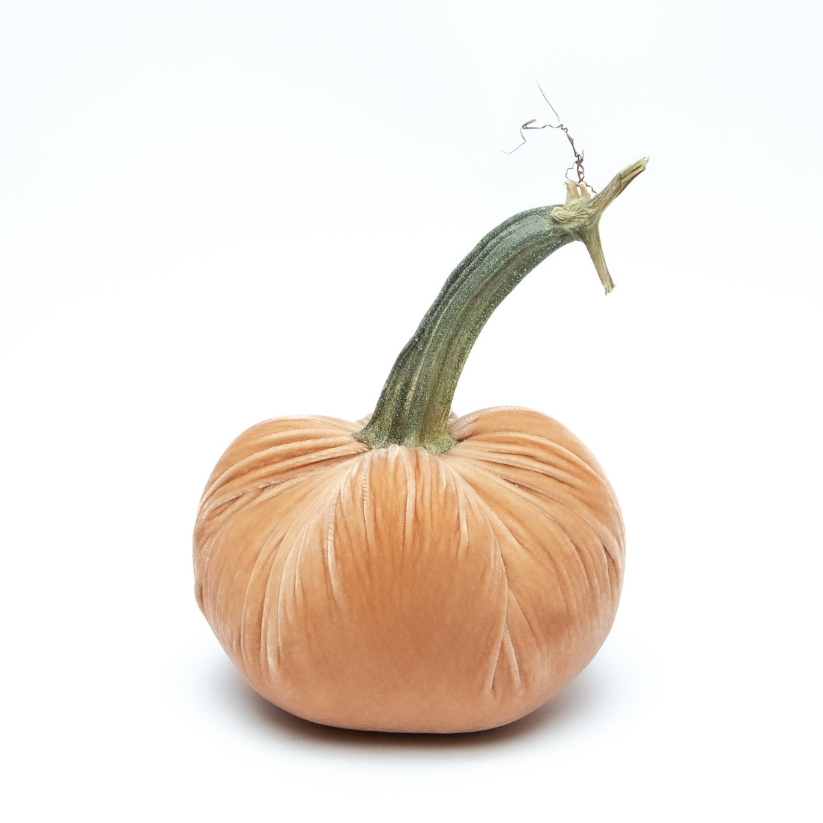 Sandstone Silk Velvet Pumpkin