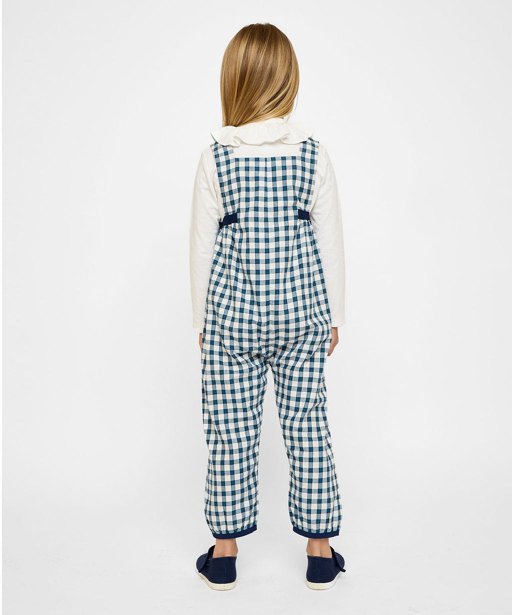 Scout Overall in Blue Picnic Check