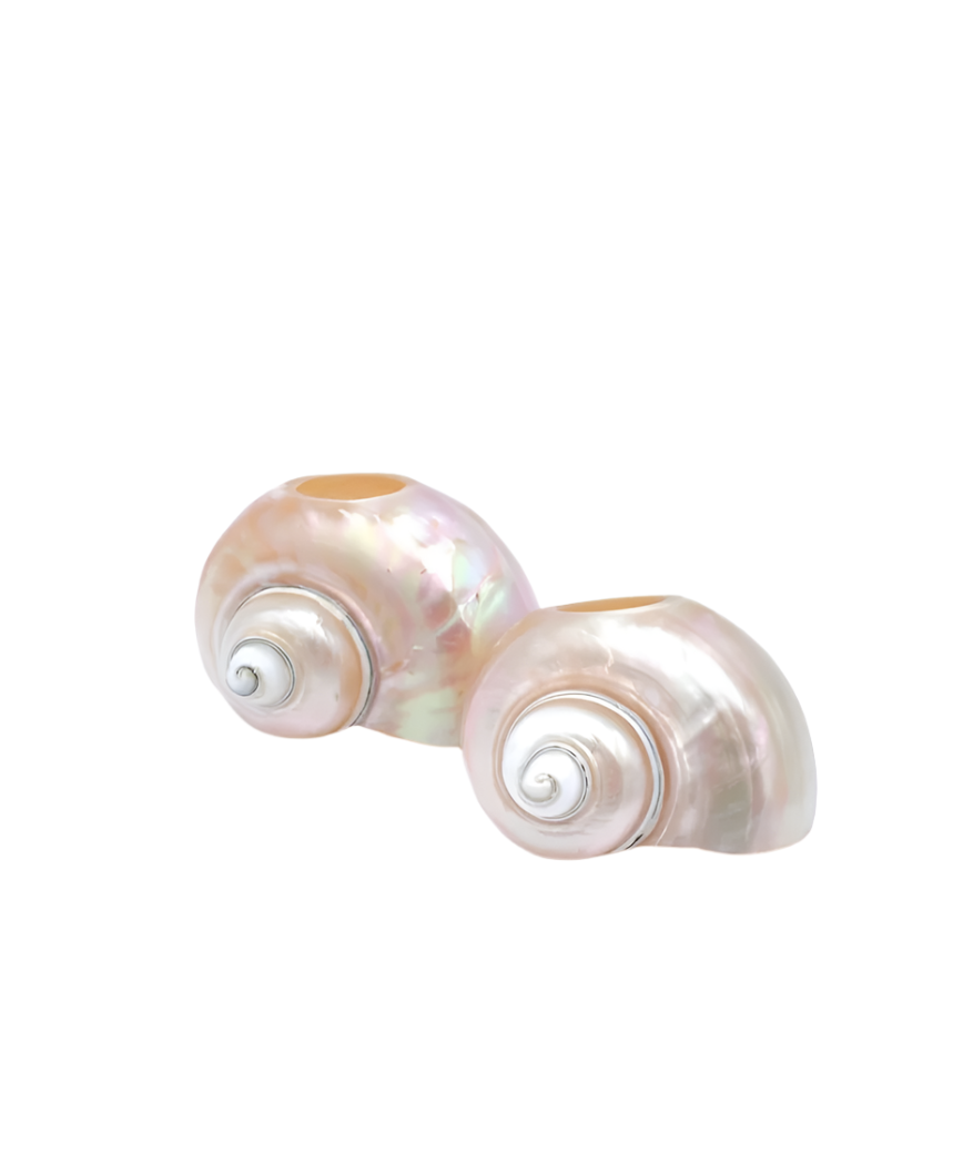 Seashell Napkin Rings, Set of 4