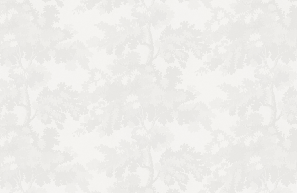 Raphael Wallpaper