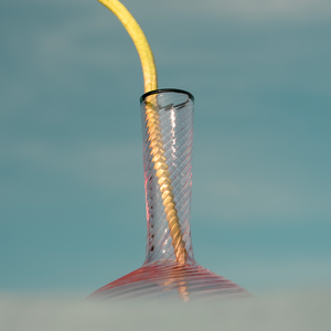 Fizzy Decanter in Pink