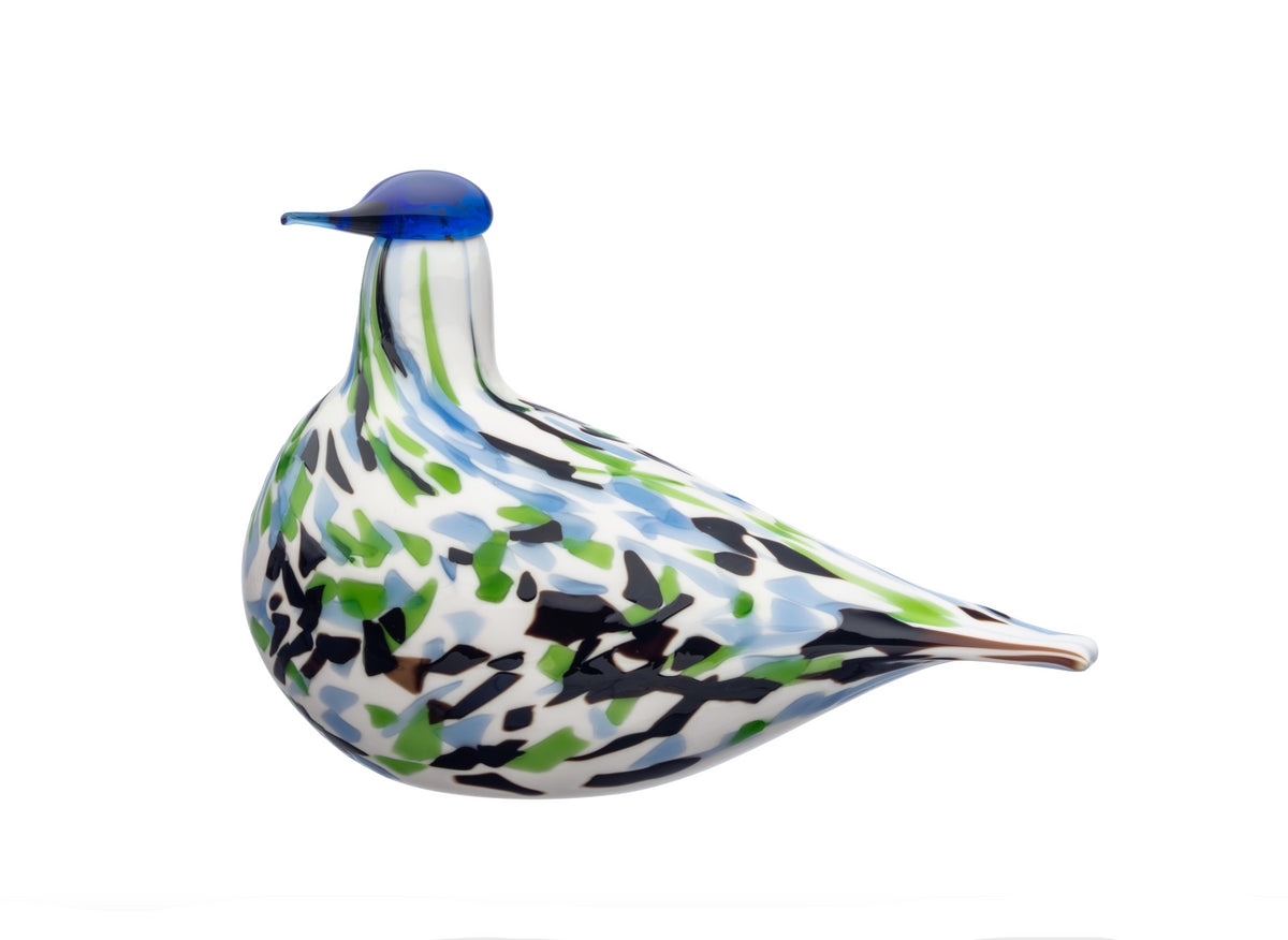 Alder Trush Blue Anniversary Bird 2024