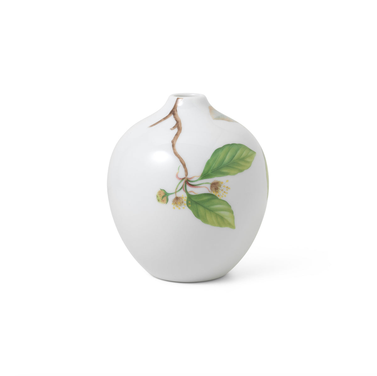 Spring Collection Spring Vase 2024 Beech