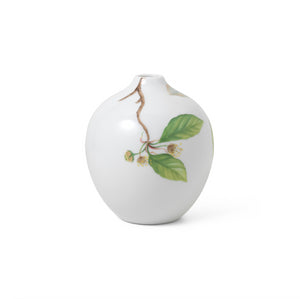 Spring Collection Spring Vase 2024 Beech