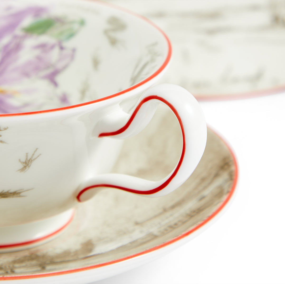 Darwin Voyage of the Beagle Brazil Teacup Saucer Plate, Set of 3