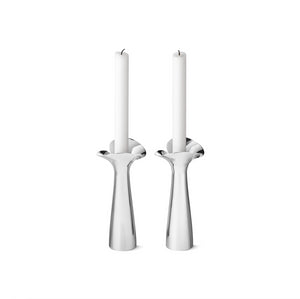 Bloom Botanica Candleholder, Set of 2