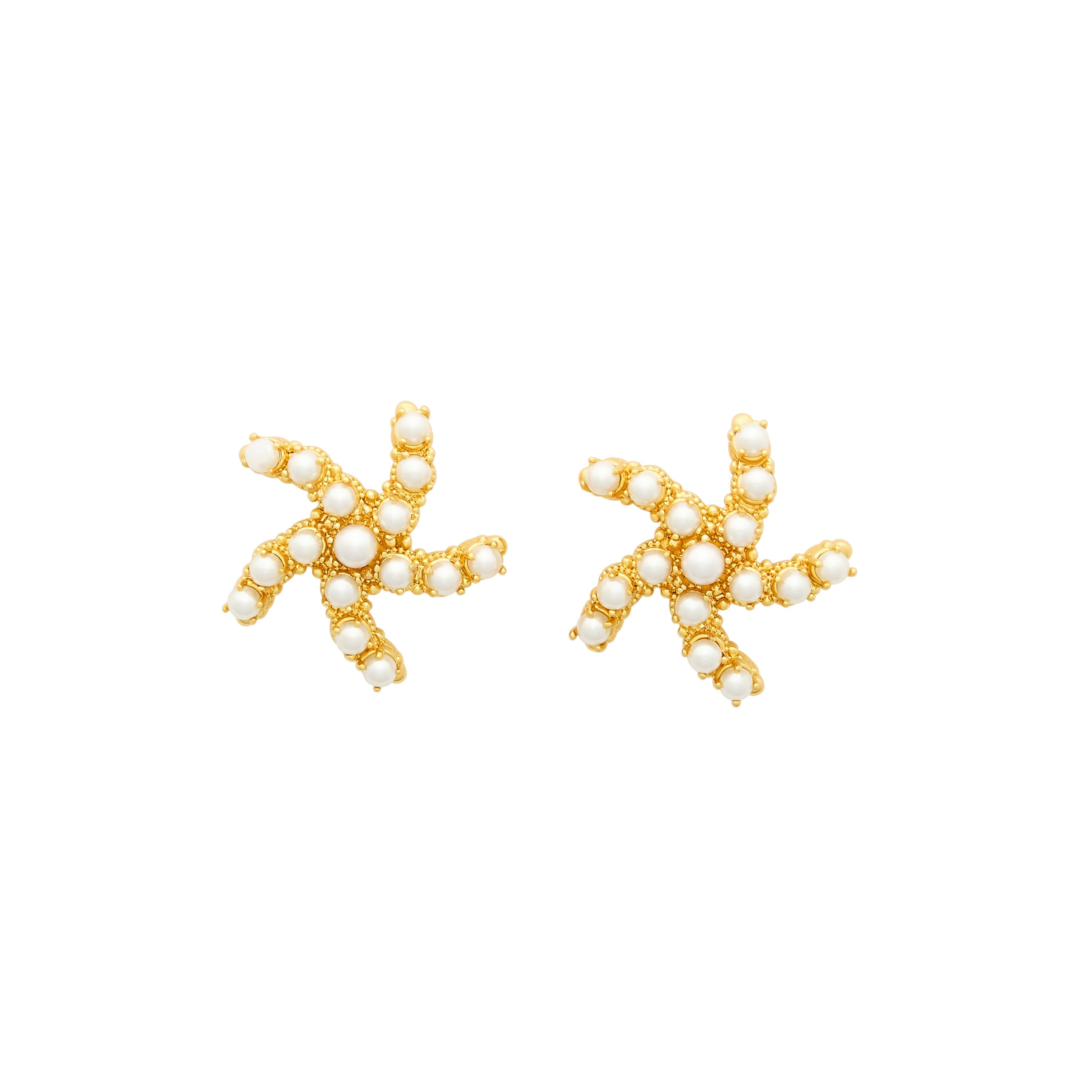 Sea Star Earrings