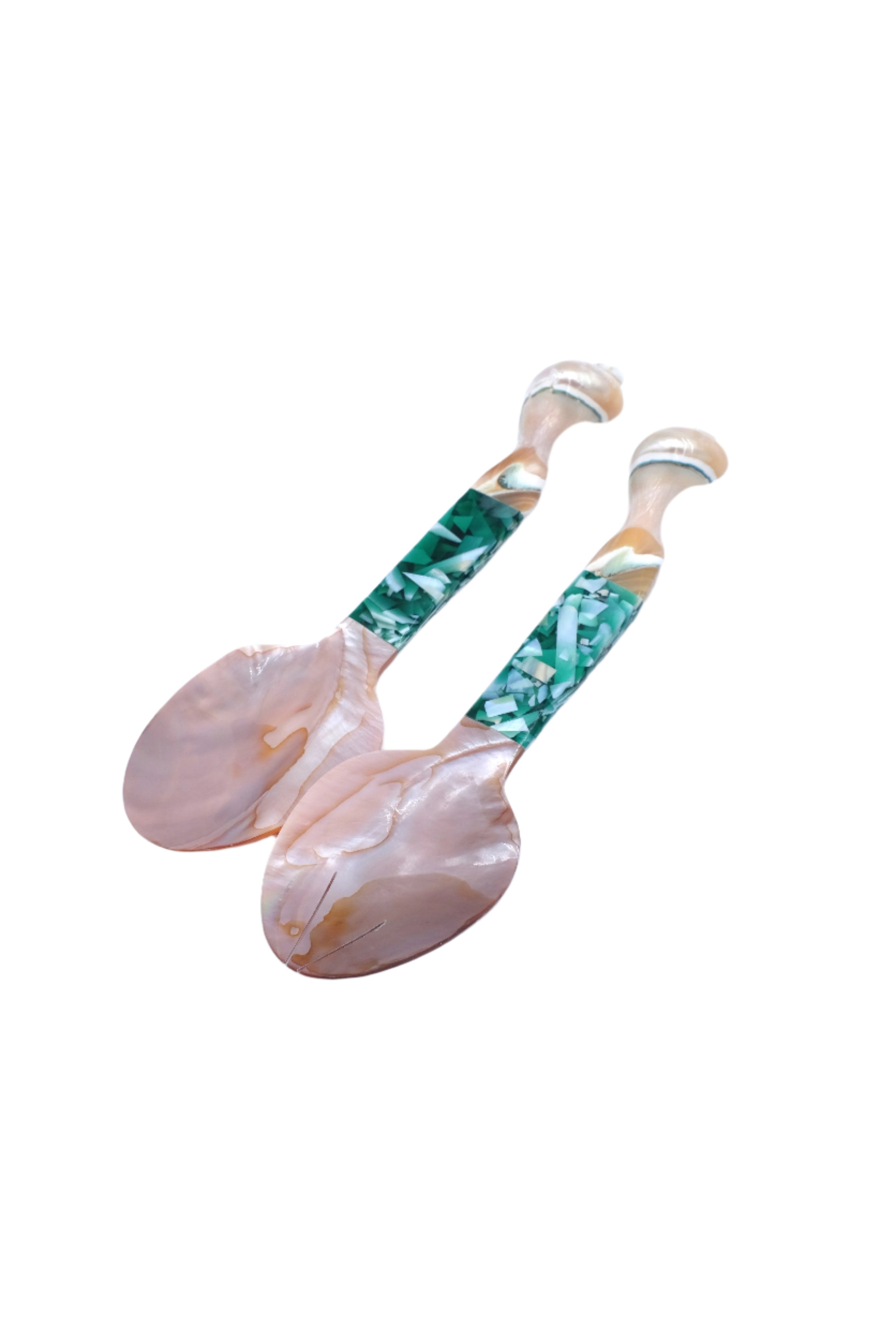 Seashell Serving Set in Green