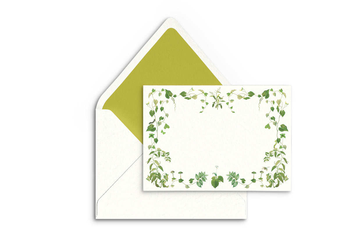 Flat lay of Selva stationery note card and envelope showcasing a watercolor green vine border and olive-green envelope liner on a white background