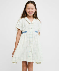 Shirt Dress in Seafoam Plaid