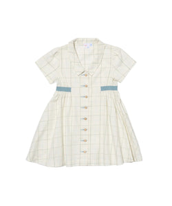 Shirt Dress in Seafoam Plaid