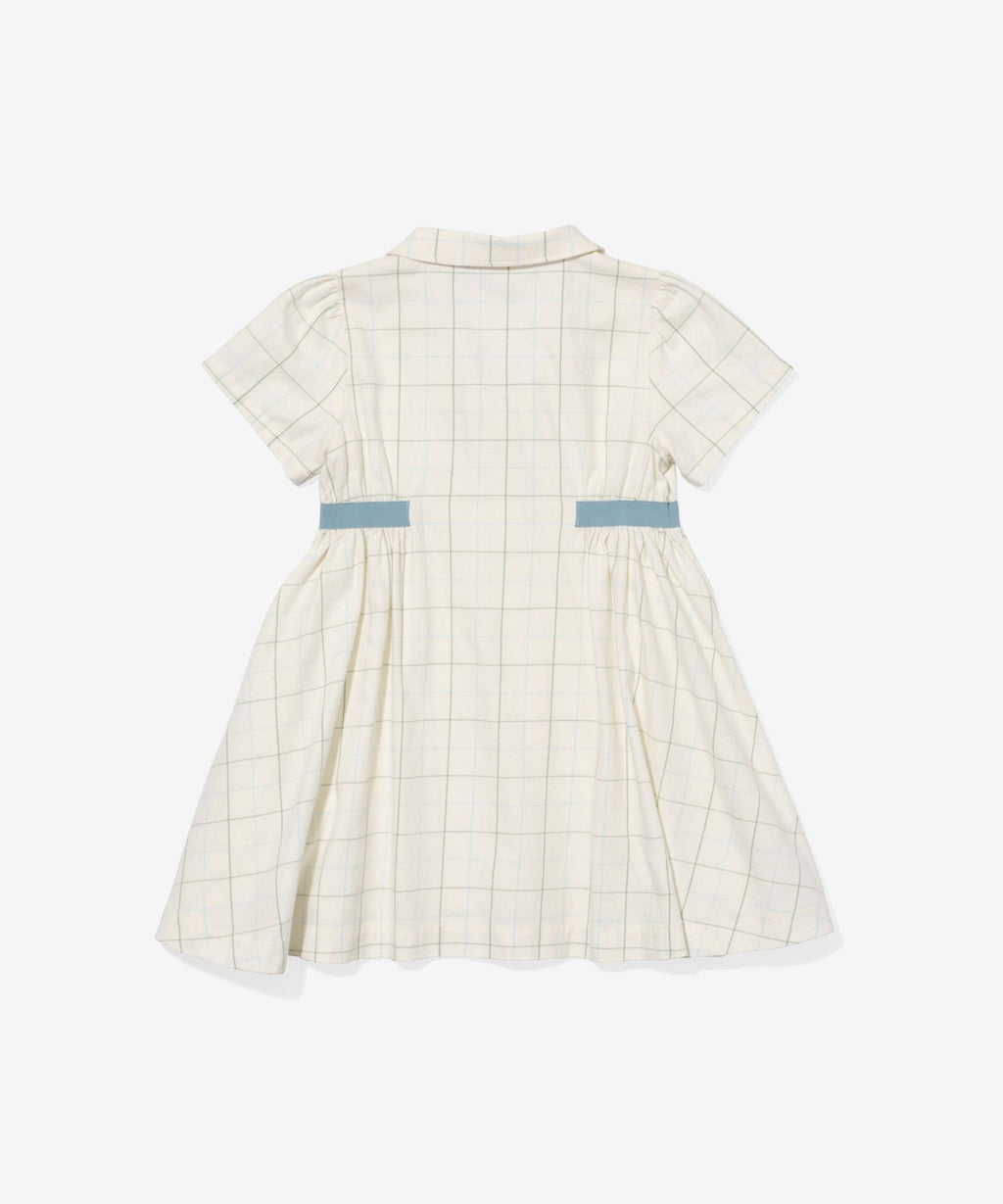 Shirt Dress in Seafoam Plaid