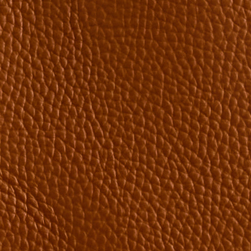 Eleanor 55 Tote in Acorn