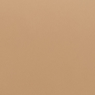 Romy Clutch in Box Calf Palmellato Natural