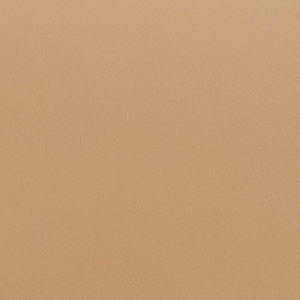 Romy Clutch in Box Calf Palmellato Natural