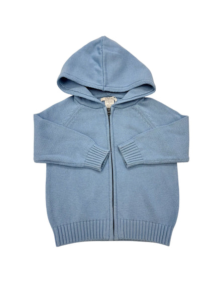Solid Zip Hoodie in Blue