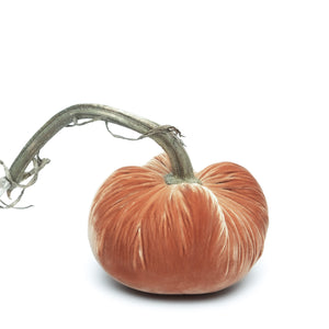 Spice Silk Velvet Pumpkin