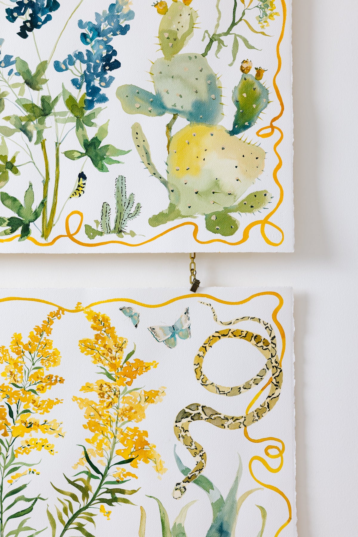 Bluebonnet Texas Wildflower Print