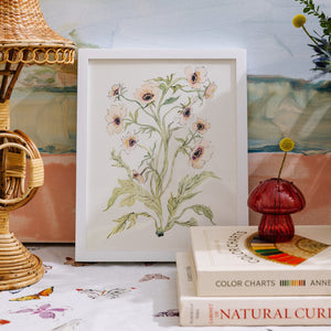 Botanical Print: Slipper & Sage