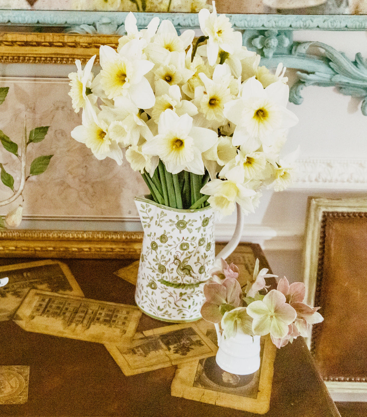Oiseau Pitcher