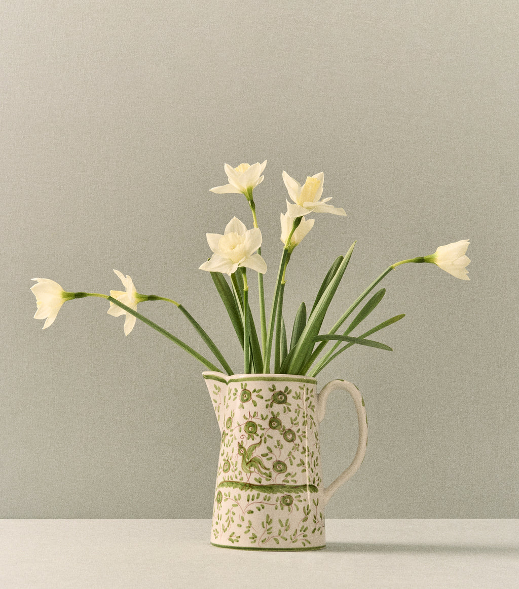 Oiseau Pitcher