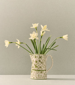 Oiseau Pitcher
