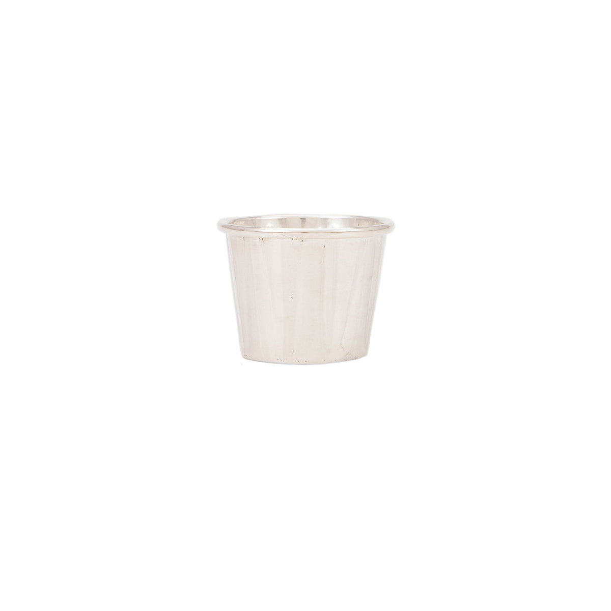 Silver Plated Le Food Tray