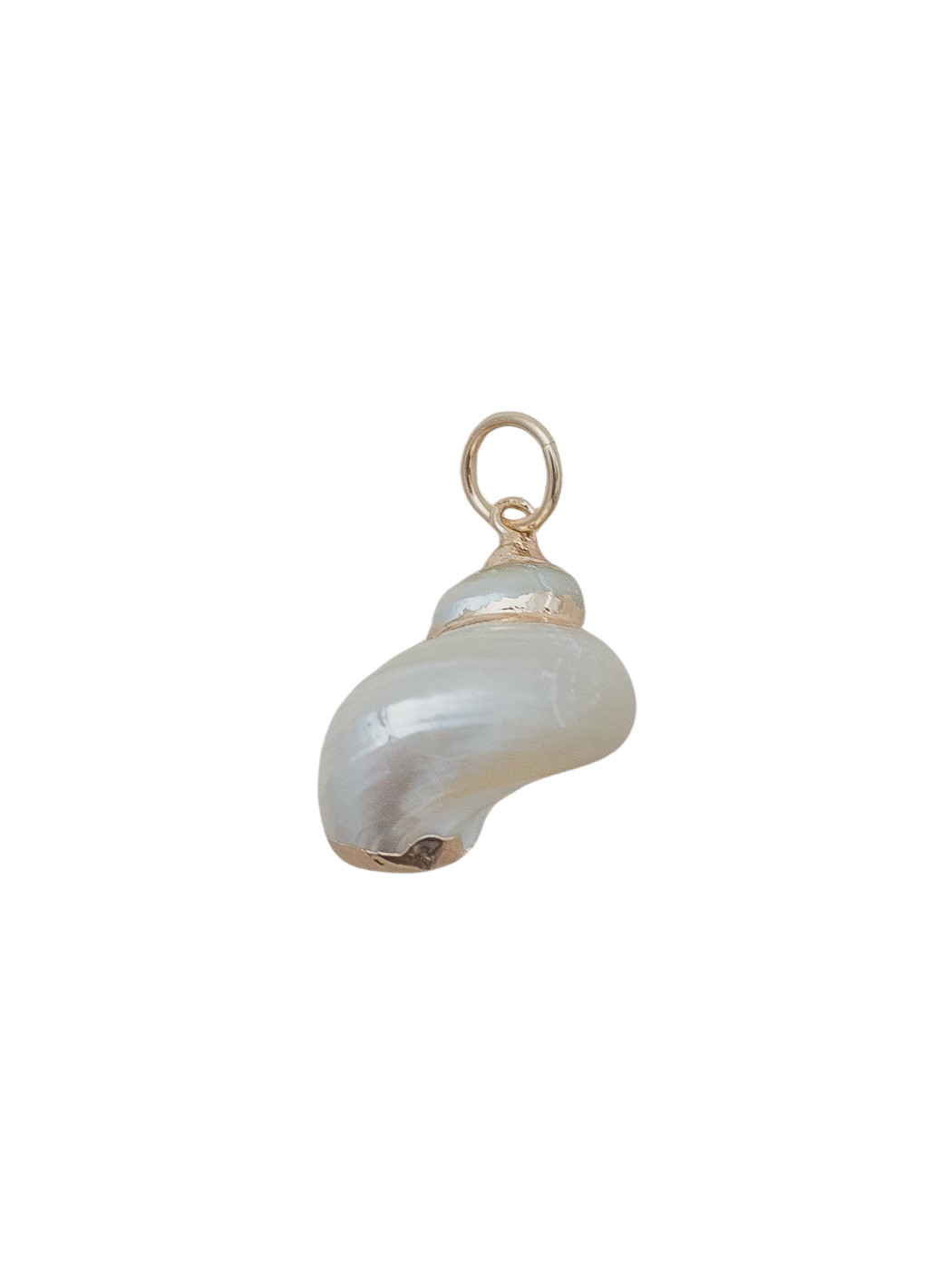 Close-up of Turbo Shell Charm in white showing iridescent natural shell with gold-plated top on black background