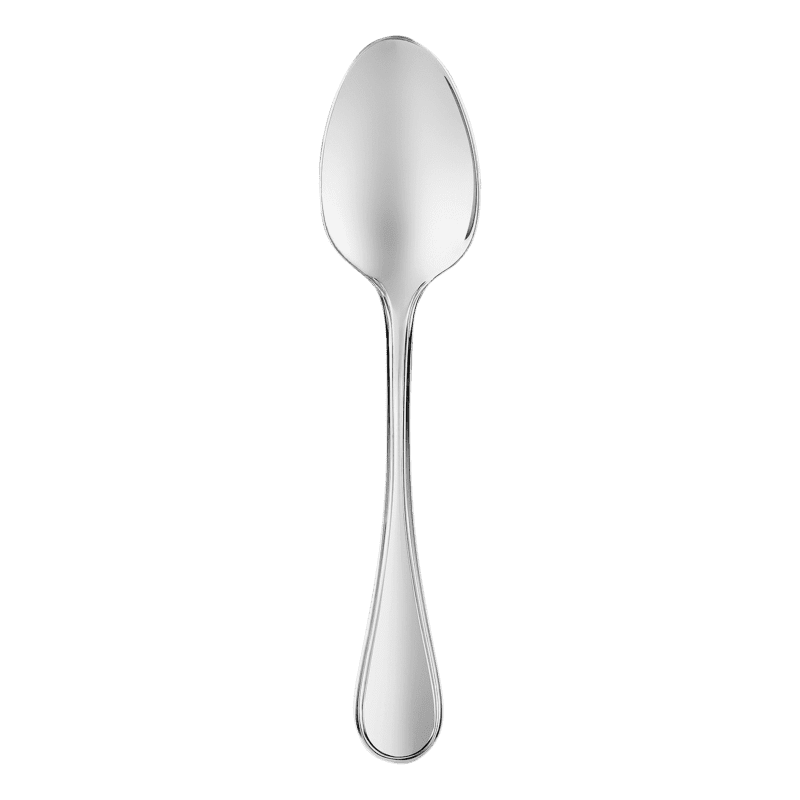 Albi Acier Table Spoon