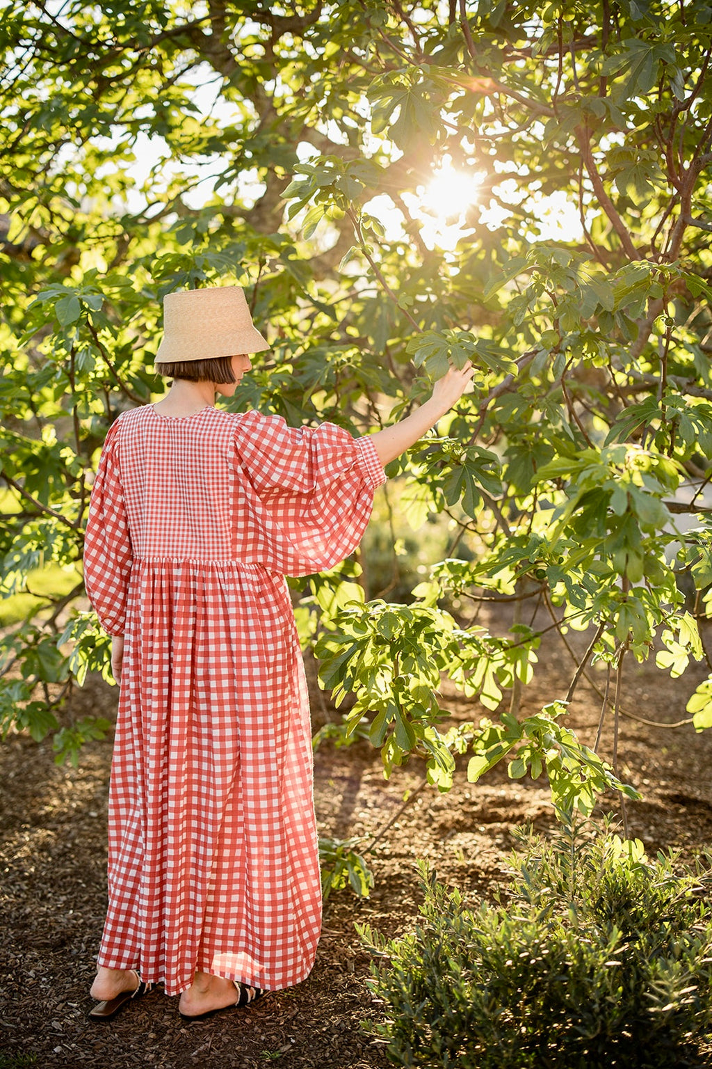 Taj Maxi Dress in Red Gingham