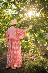 Taj Maxi Dress in Red Gingham