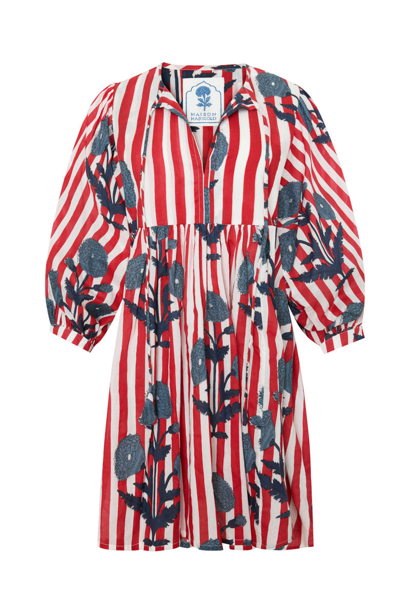 Taj Mini Dress in Navy Flower on Red Stripe