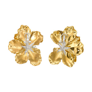 Turquoise Roi De Soleil Earrings