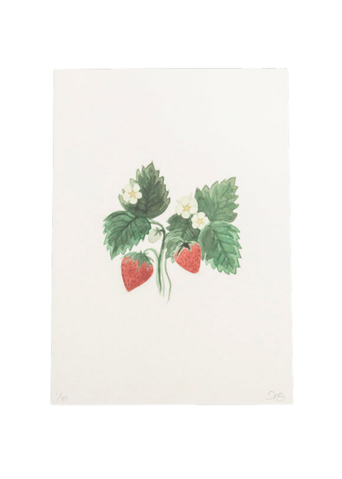 Limited Edition Strawberry Plant Print
