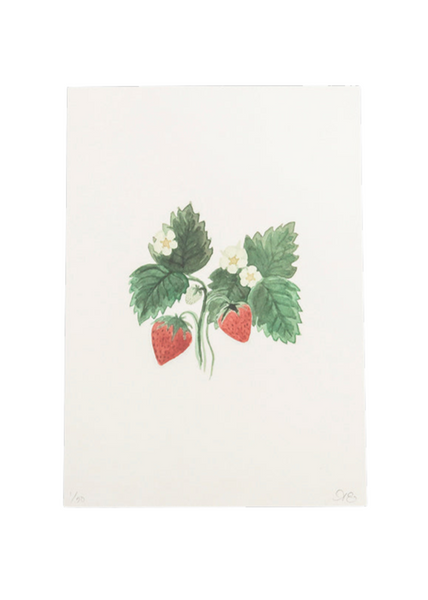 Limited Edition Strawberry Plant Print | Over The Moon