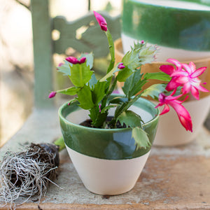 Viva Garden Reactive Small Cachepot in Green
