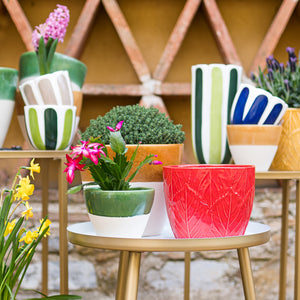 Viva Garden Reactive Small Cachepot in Green