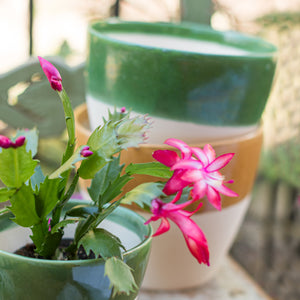 Viva Garden Reactive Medium Cachepot in Green