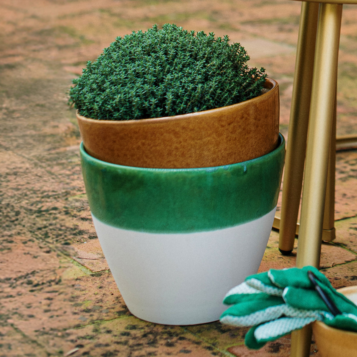 Viva Garden Reactive Large Cachepot in Green