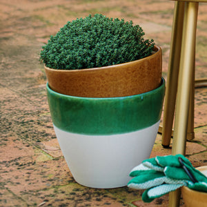 Viva Garden Reactive Large Cachepot in Green