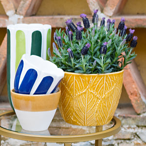 Viva Garden Embossed Leaves Cachepot in Amber