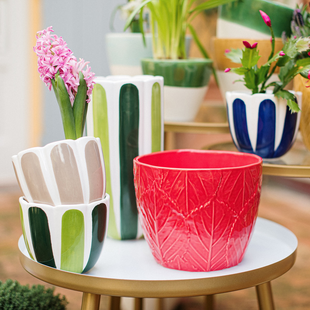 Viva Garden Embossed Leaves Cachepot in Red