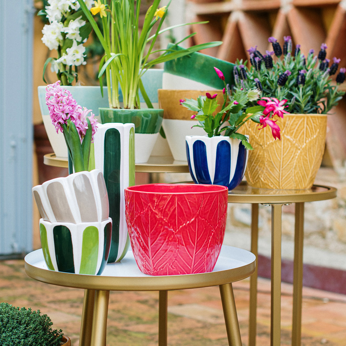 Viva Garden Embossed Leaves Cachepot in Red