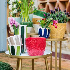Viva Garden Embossed Leaves Cachepot in Red