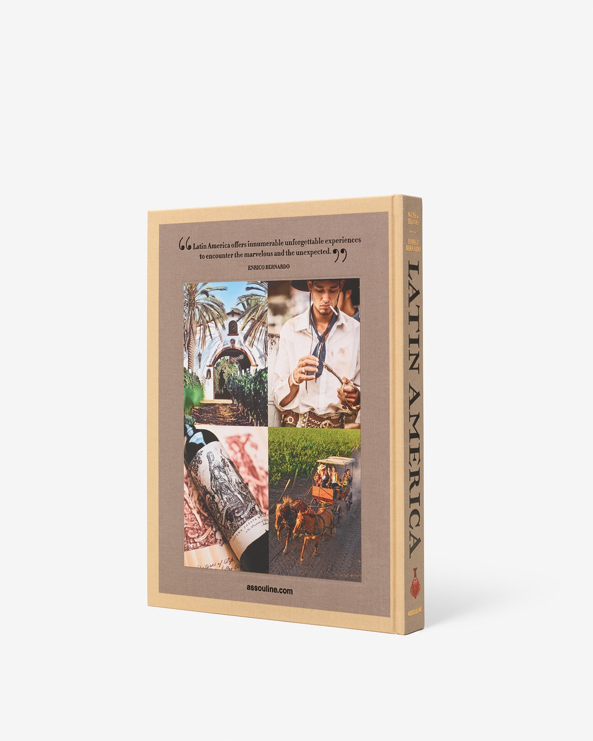 Book titled 'Latin America' with images on the cover