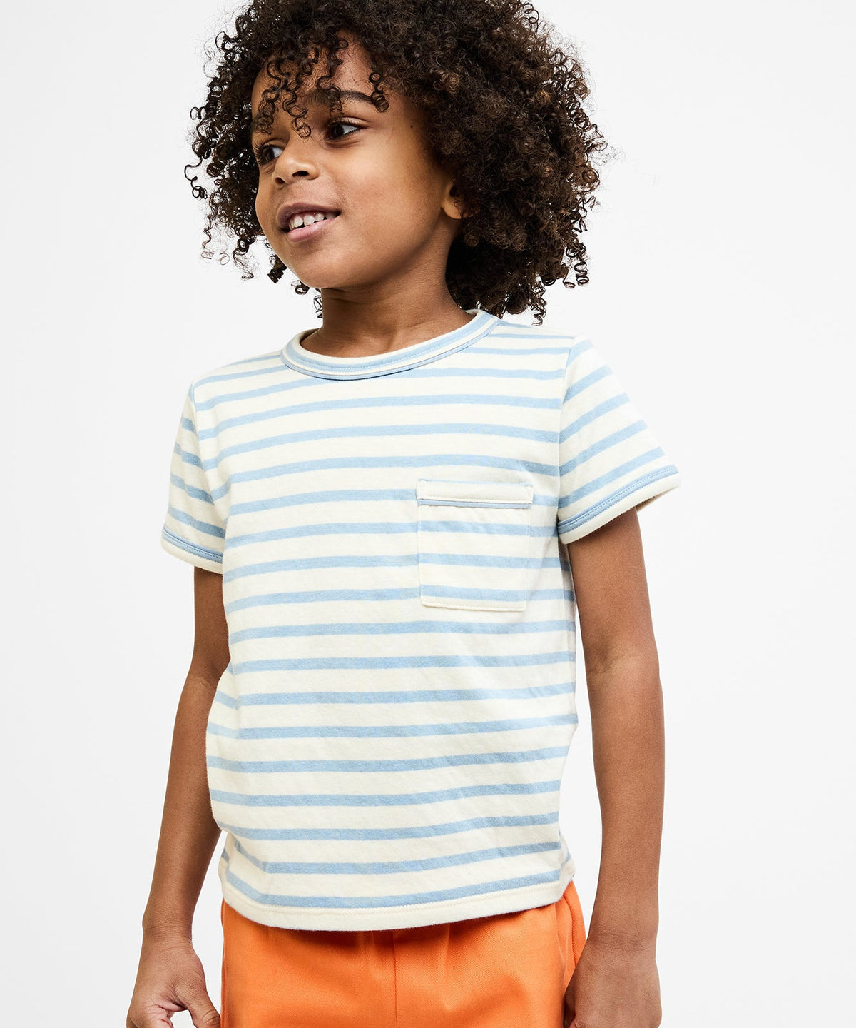 Willie T-Shirt in Dusty Blue Stripe