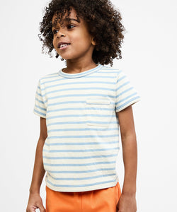 Willie T-Shirt in Dusty Blue Stripe